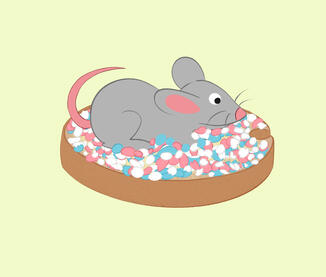 Beschuit met muisjes