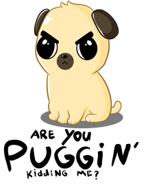 are you puggin' kidding me?!