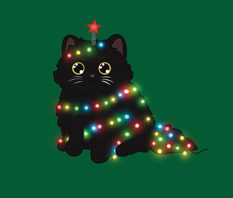 Christmas cat